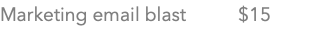 Marketing email blast $15